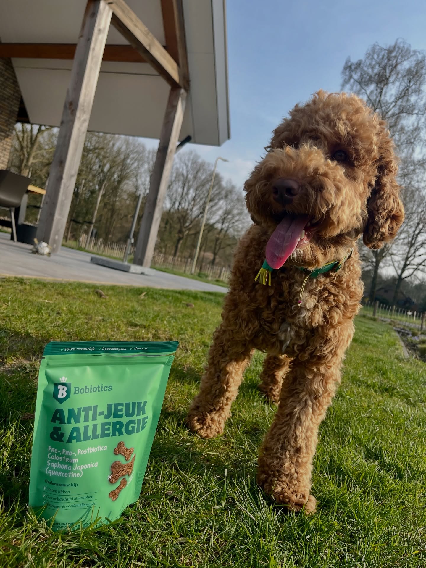 Blije hond met glanzende vacht buiten in het gras naast Bobiotics Anti-Jeuk verpakking